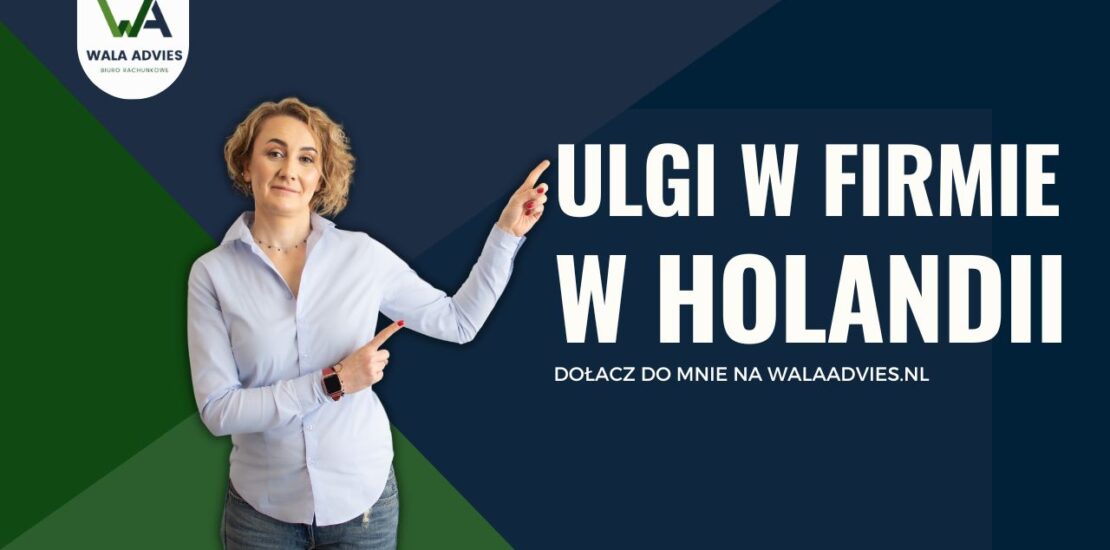 Jakie ulgi podatkowe przysługują przedsiębiorcom w Niderlandac