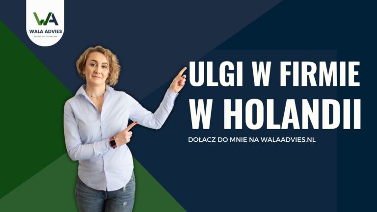 Jakie ulgi podatkowe przysługują przedsiębiorcom w Niderlandac